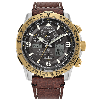 Citizen Watch Official Site CITIZEN
